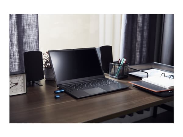 Kingston IronKey Vault Privacy 50C - USB-flashstasjon - kryptert - 32 GB - USB-C 3.2 Gen 1 - TAA-samsvar