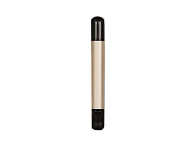 Transcend JetFlash 930C - USB-minne - 256 GB - USB 3.2 Gen 1 / USB-C - guld Guld
