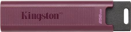 KINGSTON 256 Gt USB 3.2 DATATRAVELER MAX TYPE-A 1000R/900W GEN 2 (DTMAXA/256GB)