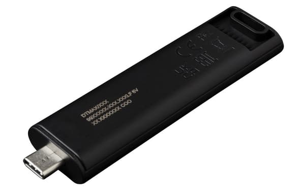 Kingston Technology DataTraveler 256 GB Max 1000R/900W USB 3.2 Gen 2