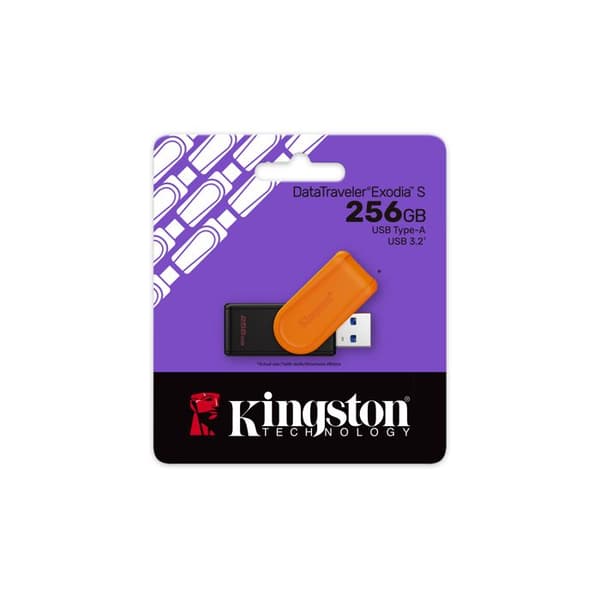 KINGSTON 256Go Bärbar USB 3.