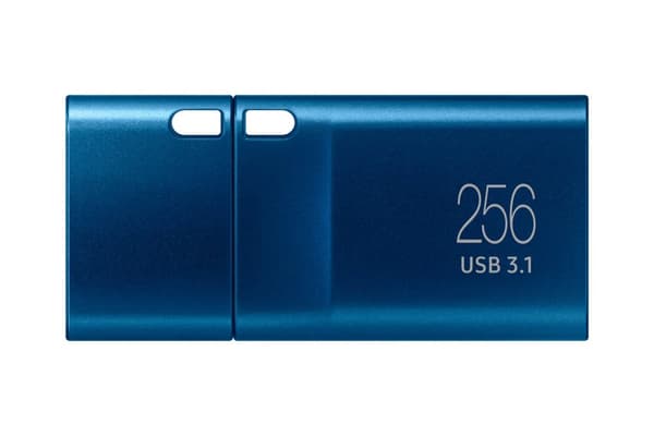 Samsung MUF-256DA USB-minne 256 GB USB Typ-C 3.2 Gen 1 (3.1 Gen 1) Blå