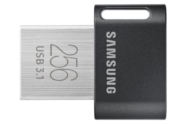 Samsung MUF-256AB USB-minne 256 GB USB Typ-A 3.2 Gen 1 (3.1 Gen 1) Grå, Silver Grå, Silver