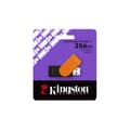 Miniatyrbild 3 av 3: KINGSTON 256Go Bärbar USB 3.