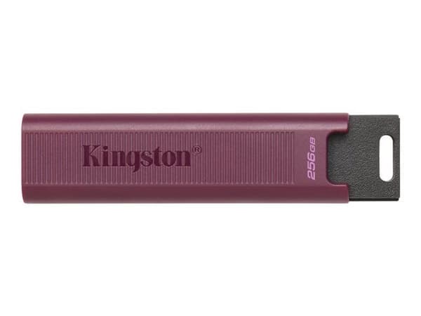 Kingston DTMAXA-1TB USB-minne