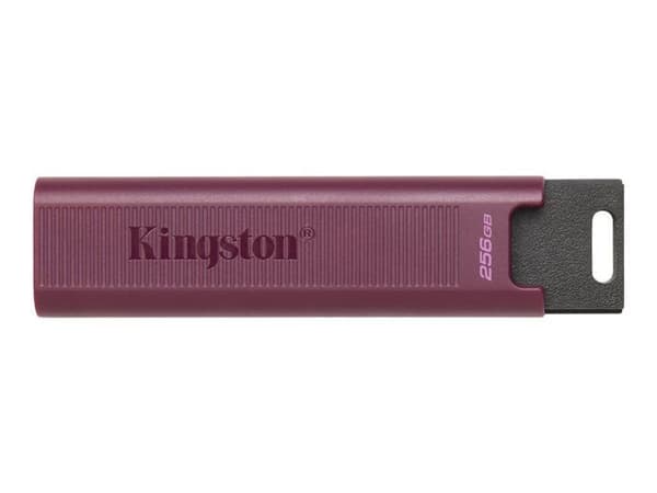 Kingston DTMAXA-1TB USB-minne