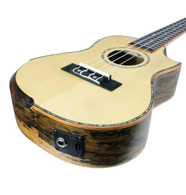 Reno RU380CE Koncert Ukulele