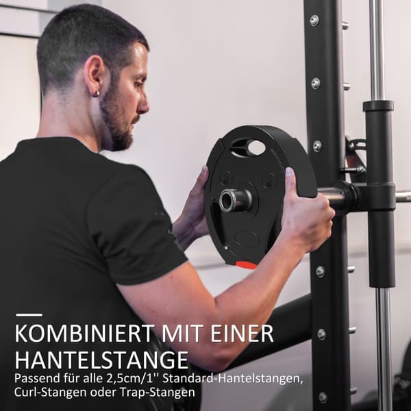 Rootz 4 Pack Weight Plate Set - Gym & Home Training - Strength Building - Ergonomiska handtag - 30x5,5 cm, 27x4,5 cm, Ø2,5 cm hål - Svart