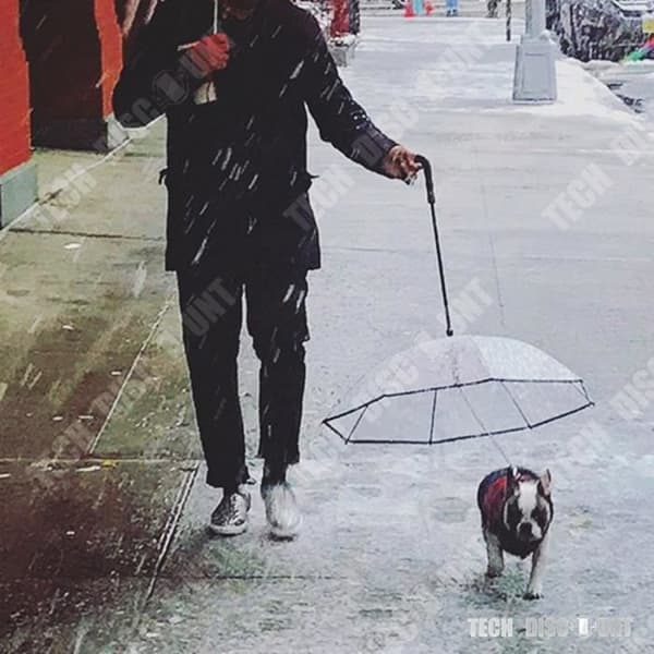 TD® paraply för hund, katt, husdjur, genomskinlig inverterad promenad Regntur, resor Bekväm hopfällbar utomhussnö