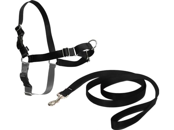 Petsafe Easy Walk® Harness XL svart sele for en enkel tur (volum 86-117 cm)