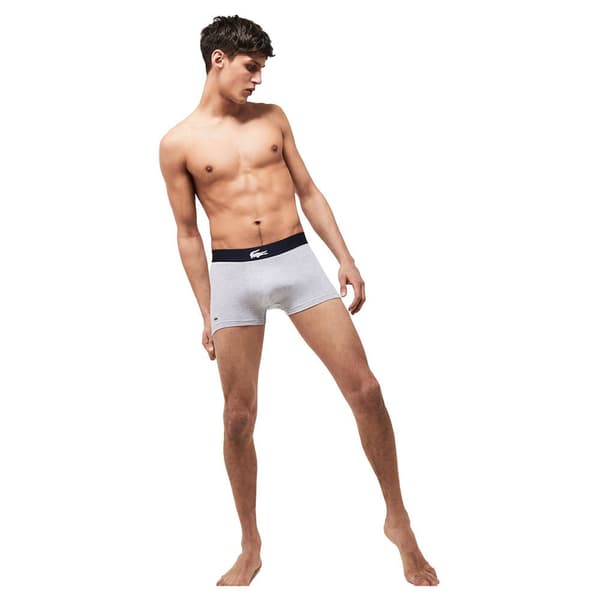 Lacoste Slip 3 Yksiköt Sininen,Harmaa S Mies