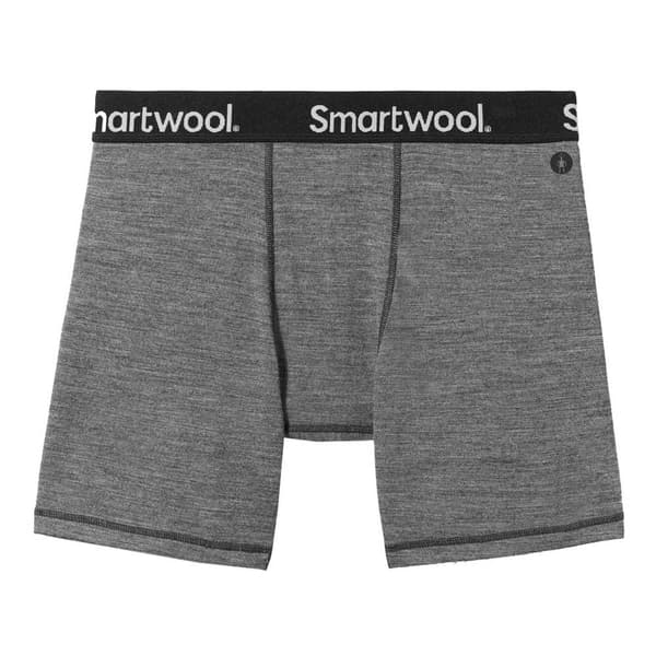 Smartwool Boxare Brief Grå S Man