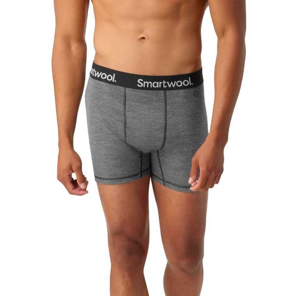 Smartwool Bokser Brief Grå S Mand