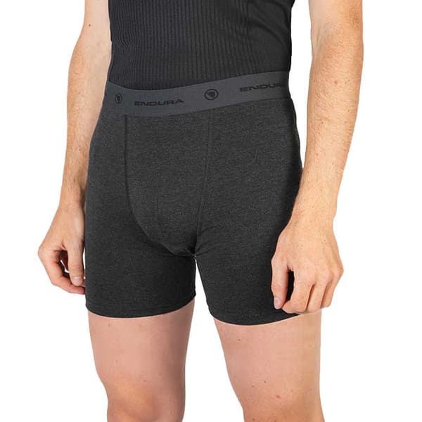 Endura Indre Shorts 2 Enheder Grå M Mand