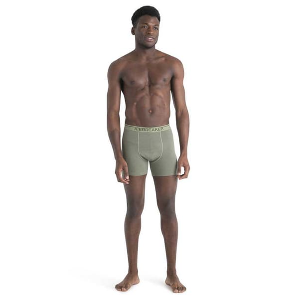 Icebreaker Anatomica Boxare Grå L Man