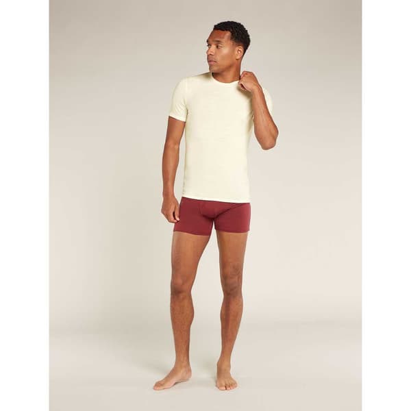 Icebreaker Merino 150 Anatomica Kortärmad Baslager Vit XL Man