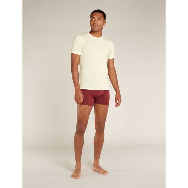 Icebreaker Merino 150 Anatomica Kortärmad Baslager Vit XL Man
