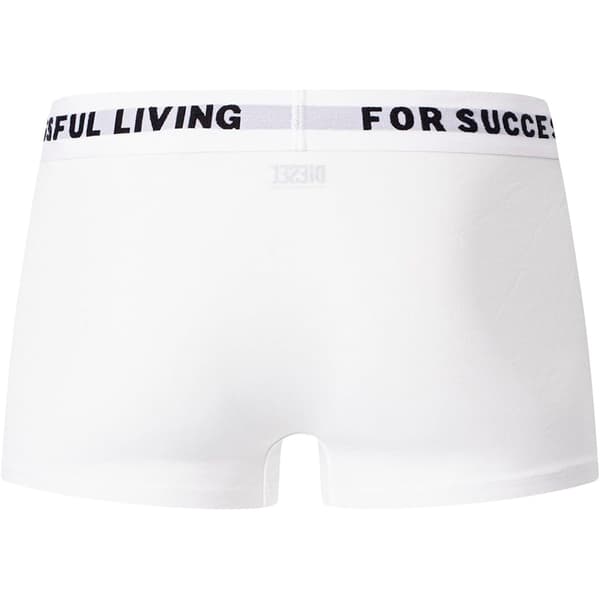 Diesel Damien Boxers 3 Enheder Flerfarvet M Mand