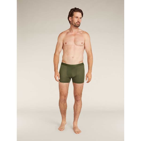 Icebreaker Merino 125 Cool-lite Anatomica Boxers Grøn XL Mand
