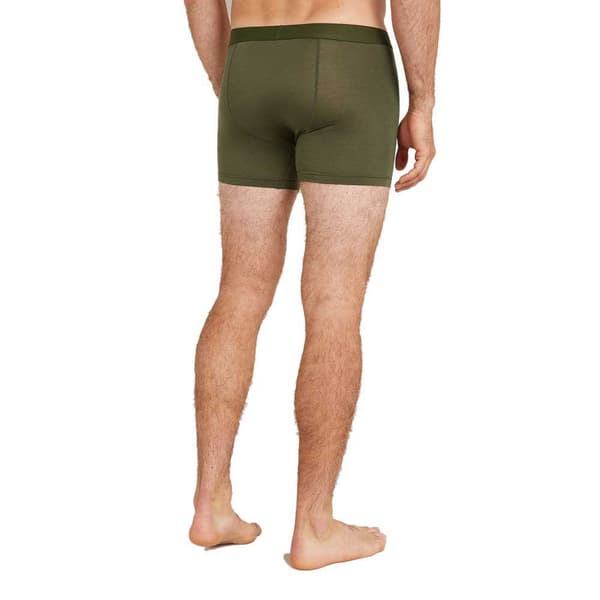 Icebreaker Merino 125 Cool-lite Anatomica Boxers Grøn XL Mand