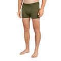Miniatyrbillede 1 af 6: Icebreaker Merino 125 Cool-lite Anatomica Boxers Grøn XL Mand