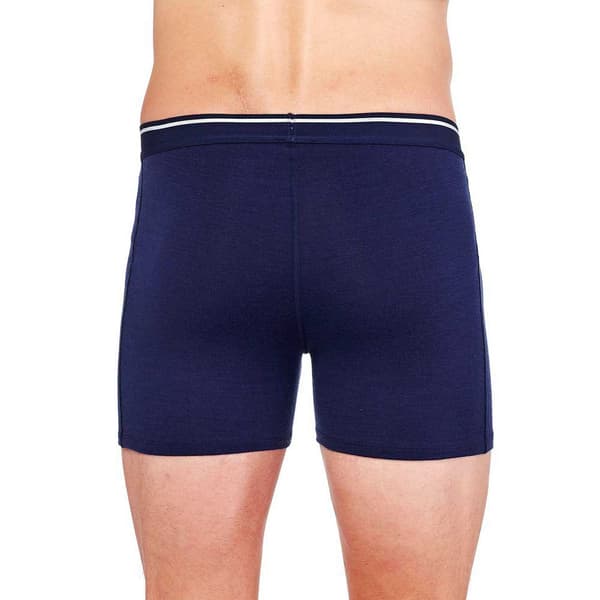 Icebreaker Anatomica S Fly Boxers Blå S Man