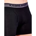 Miniatyrbild 3 av 4: Icebreaker Anatomica Fly Boxers Svart S Man