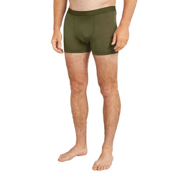 Icebreaker Merino 125 Cool-lite Anatomica Boxers Grøn S Mand