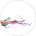 Miniatyrbild 3 av 3: Primeon 2761105 CD-R 80 700 MB 50 st Spindel Skrivbar