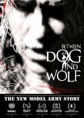 New Model Army - The New Model Army Story: Between W (Music Blu-ray)