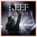 Miniatyrbillede 1 af 2: Reef - In Motion (Live From Hammersmith)