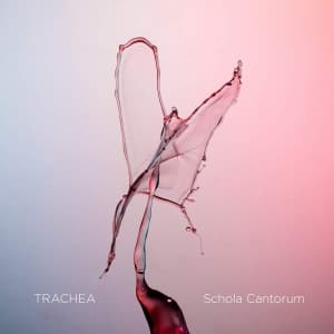 Various - Trachea (Blu-Ray Audio + Sacd) (Music Blu-ray)