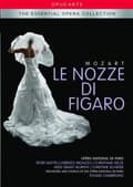 Pikkukuva 1 / 2: Mozart - Nozze Di Figaro (MusicDVD)