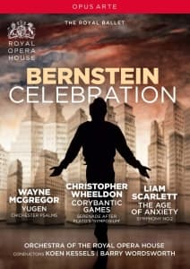 Bernstein Leonard - Bernstein Celebration (Dvd) (MusicDVD)