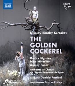 Rimsky-Korsakov Nikolay - The Golden Cockerel (Bluray) (Music Blu-ray)