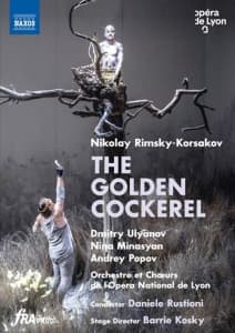 Rimsky-Korsakov Nikolay - The Golden Cockerel (Dvd) (MusicDVD)