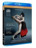 Miniatyrbillede 1 af 2: Vivaldi Antonio Gorecki Henryk M - Within The Golden Hour Medusa Fli (Music Blu-ray)