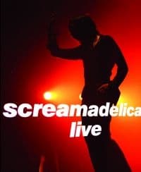 Primal Scream - Screamadelica Live (MusicDVD)