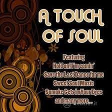 A Touch Of Soul - Temptations , Martha Reeves, Mary Wells (MusicDVD)
