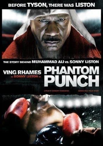 Phantom Punch DVD (2010) Ving Rhames, Townsend (DIR) Cert 15 Pre-Owned Region 2