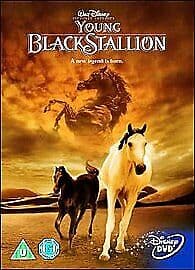The Young Black Stallion DVD (2005) Richard Romanus, Wincer (DIR) Cert U Pre-Owned Region 2