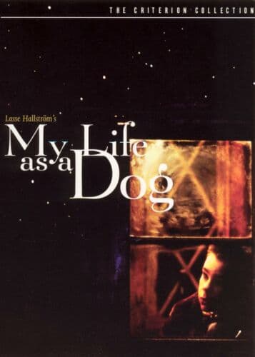 Criterion Collection: My Life As A Dog [ DVD Pre-Owned Region 2
