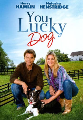 You Lucky Dog  [2010] [Region 1] [U DVD Pre-Owned Region 2