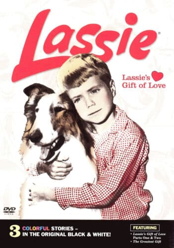 Lassies Gift Of Love  [Region 1] [U DVD Pre-Owned Region 2