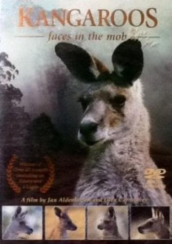Kangaroos: Faces In The Mob DVD Pre-Owned Region 2