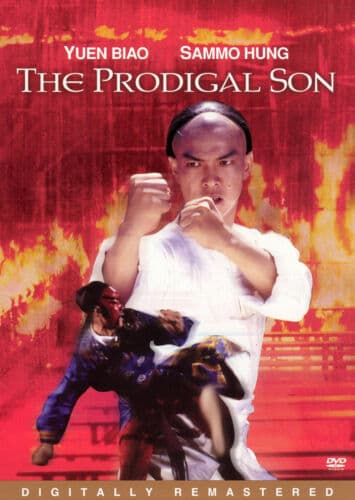 Prodigal Son  [Region 1] [US Import DVD Pre-Owned Region 2