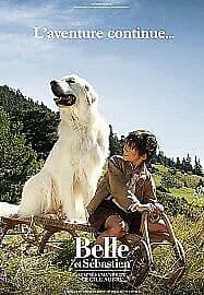 Belle And Sebastian: The Adventure Continues DVD (2016) F?lix Bossuet, Duguay Pre-Owned Region 2