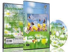 Nature DVD - Butterflies And Flowers Wit DVD Pre-Owned Region 2