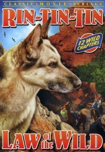Rin Tin Tin - Law Of The Wild (DVD-R) (1 DVD Pre-Owned Region 2