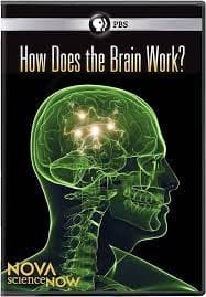 Nova Science Now: How Does The Brain Wor DVD Pre-Owned Region 2